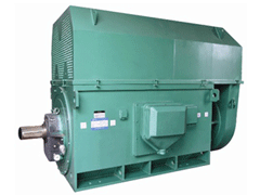 防城Y系列6KV高压电机
